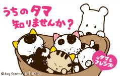 タマ&フレンズ