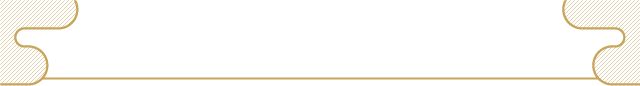 新卒採用2016