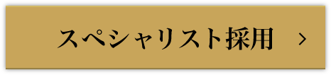 スペシャリスト採用