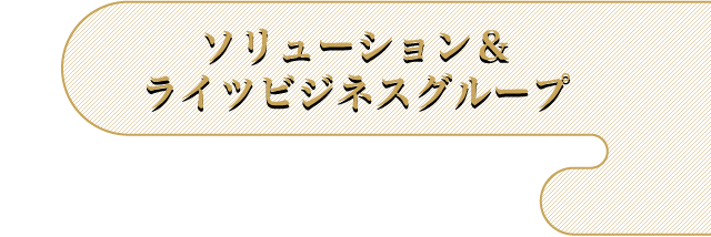 ソリューション＆ライツビジネスグループ