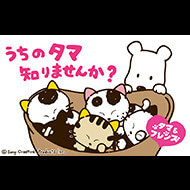 タマ＆フレンズ