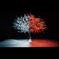 Aimer