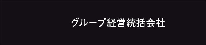 グループ経営統括会社