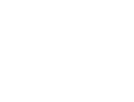 だ。